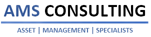 AMS Consulting LLC